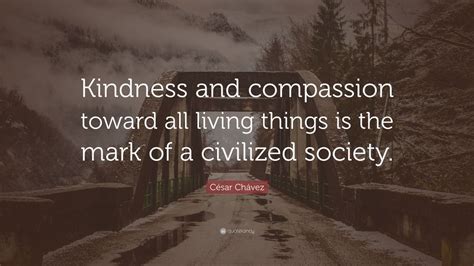 are kindness and compassion the same thing